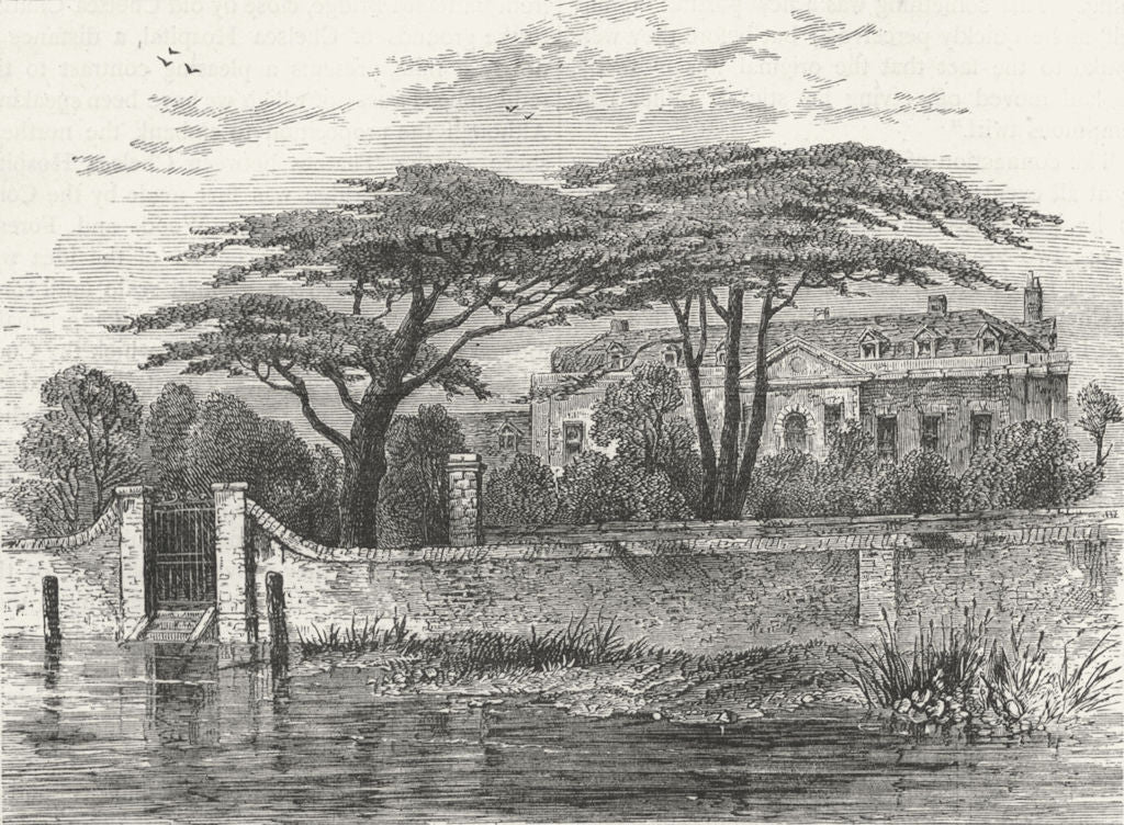 LONDON. Chelsea. Botanical Gdns, 1790 1880 old antique vintage print picture
